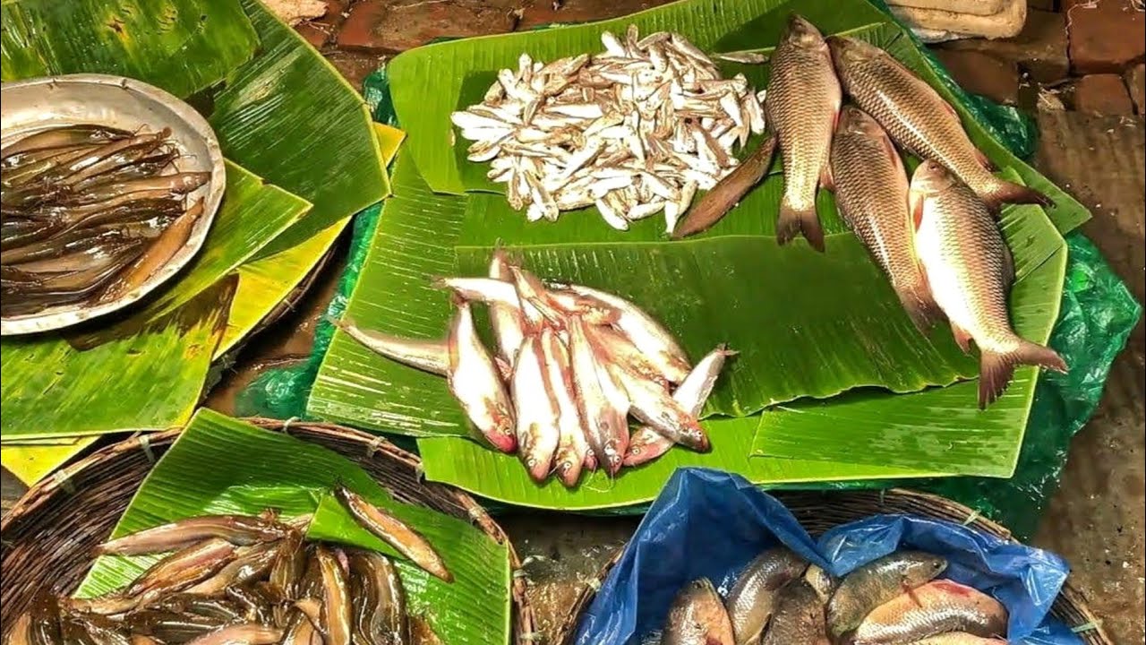 যশোরের ঐতিহাসিক মাছের হাট | The Historic Fish Market of Jashore