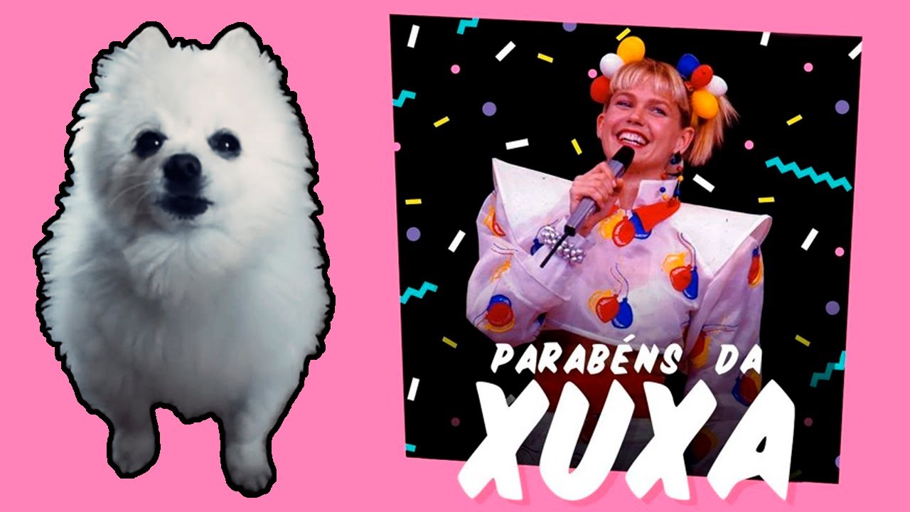 Parabéns da XUXA em cachorrês
