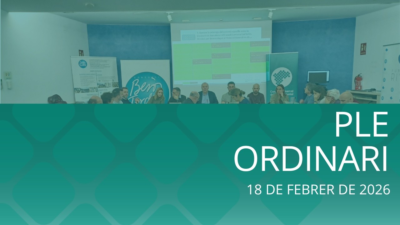 Ple ordinari 18/02/2026