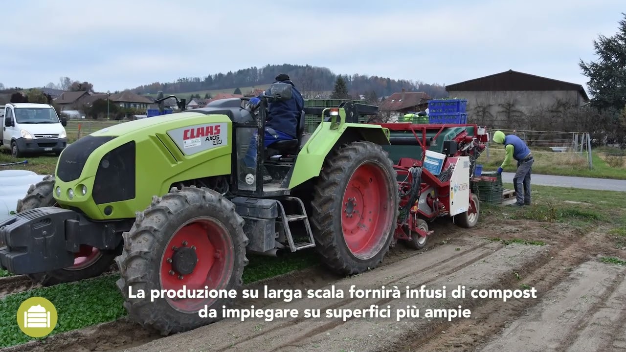 TÈ DI COMPOST: INFORMAZIONI PRATICHE, VANTAGGI E SVANTAGGI