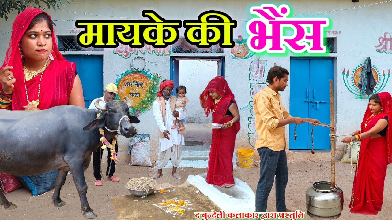 मायके की भैंस || Mayke ki bhains || Bundeli comedy || the bundeli kalakar