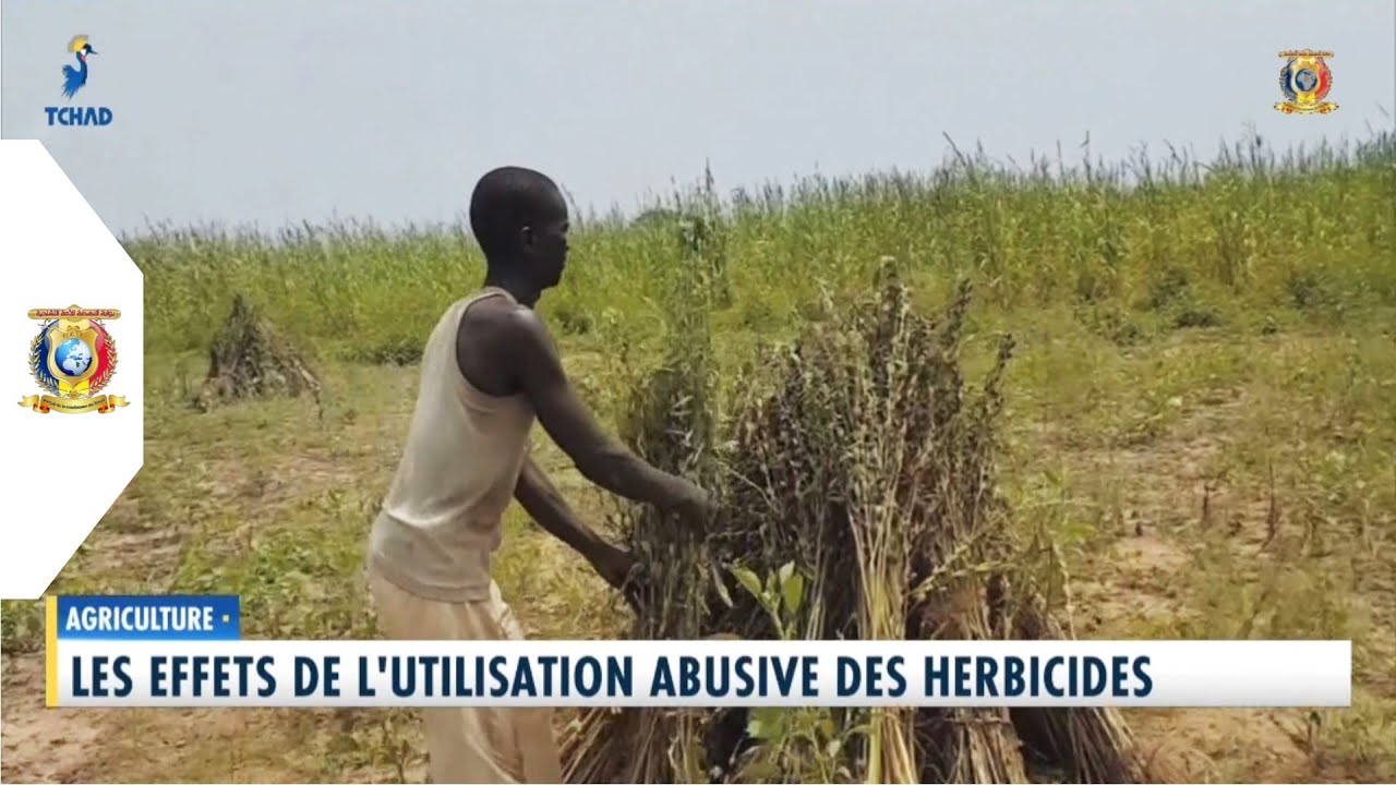 AGRICULTURE - Les effets de l'utilisation abusive des herbicides