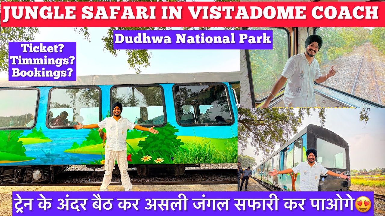 Jungle Safari In Vistadome Coach Dudhwa National Park Jungle Safari | Jungle Safari In Train Vlog