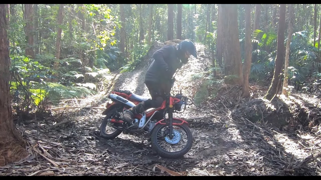 Honda CT 125 Testing Ground on an old BMX Track ,wins a thumbs up from me.
