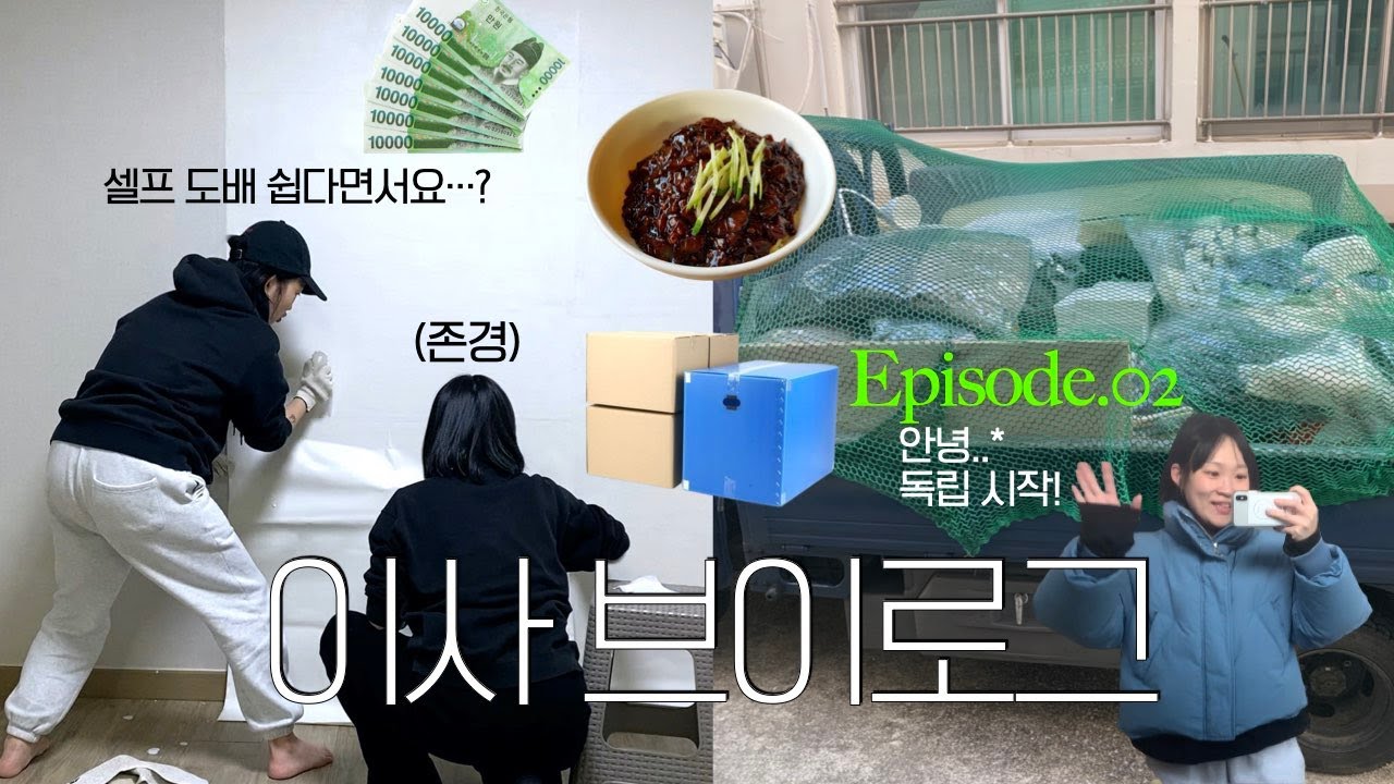 이사 브이로그🏡 자취 시작..* 이사 준비부터 이사 하는 날! 자취방 셀프 도배, 원룸 셀프인테리어, 이사 청소, 이사 후 정리 | 자취 브이로그 | 지혜사랑