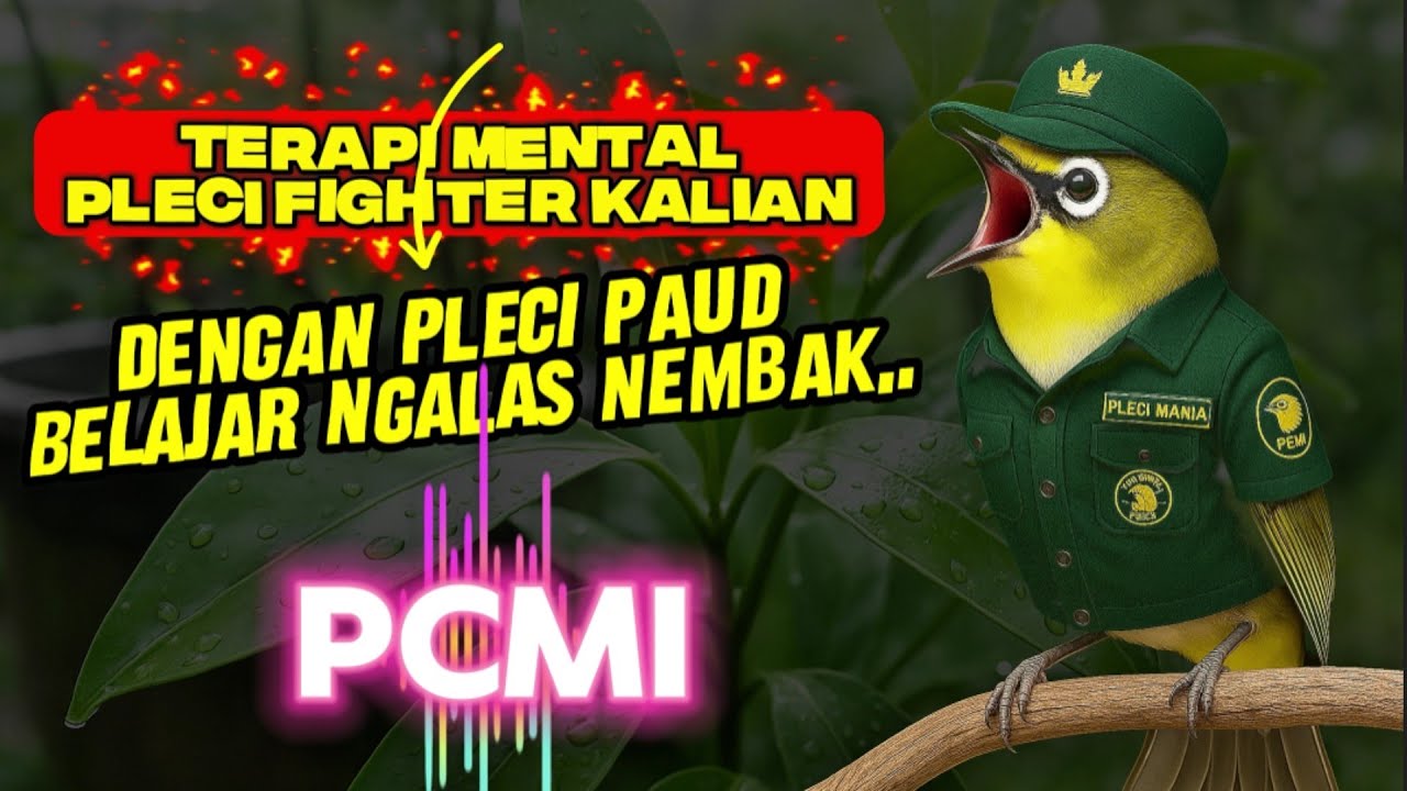 Terapi Mental Pleci Fighter‼️dengan Pleci Paud Gacor Belajar Ngalas Nembak | PCMI
