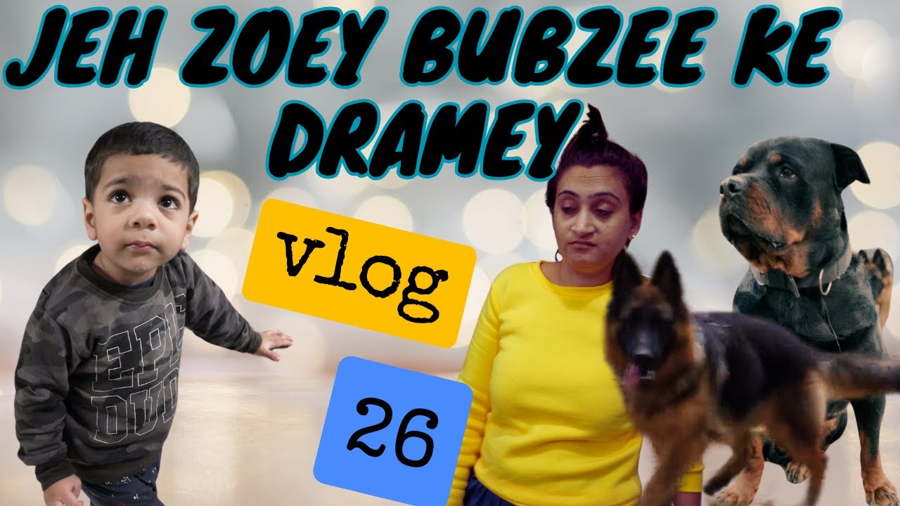 Jeh Zoey And Bubzee Ke Drama Hua Bahut zyada. #jehandzoey #dogs #namitaology