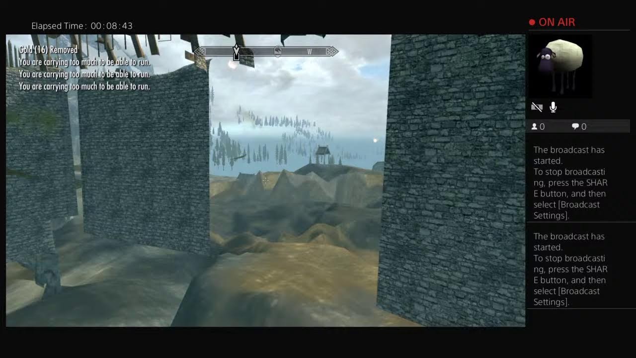 Skyrim Whiterun Glitch