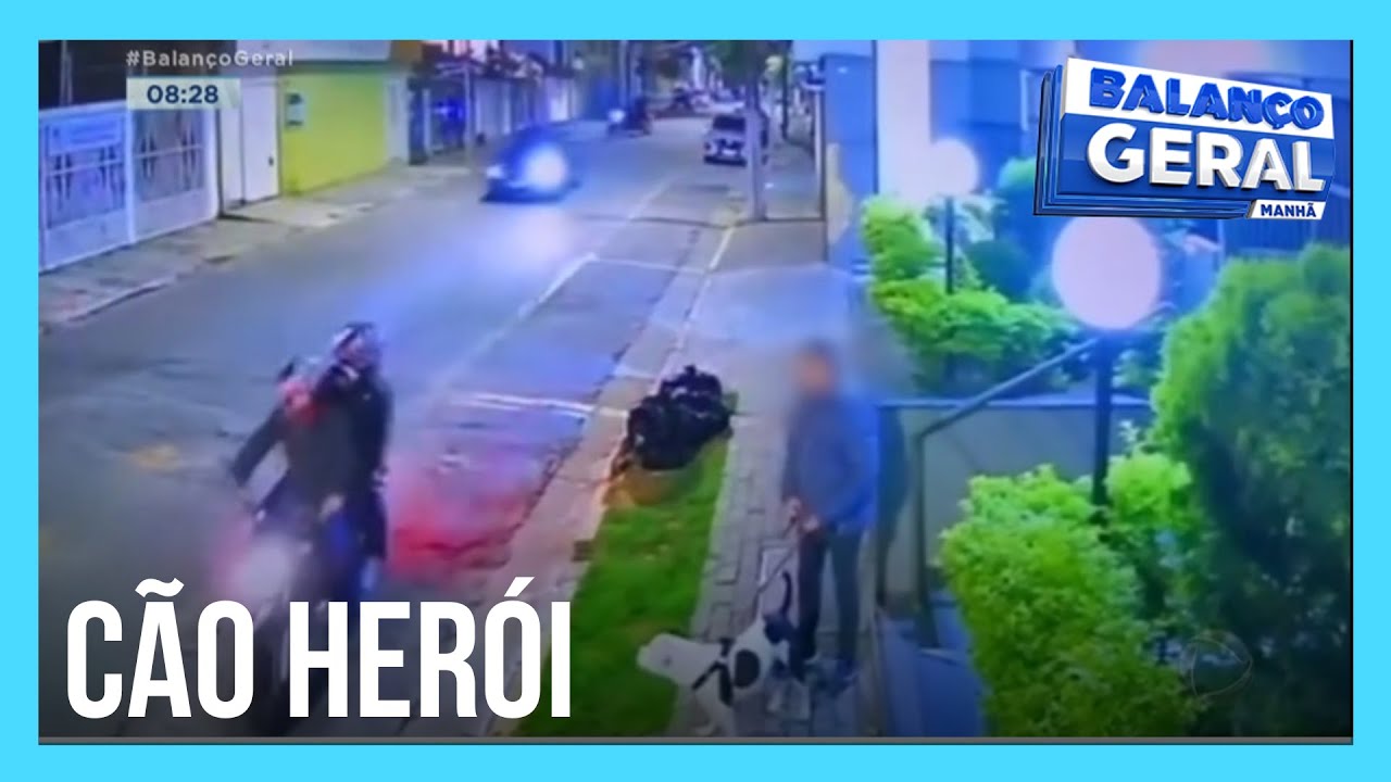 Cachorro salva tutor de assalto e coloca bandidos para correr em SP