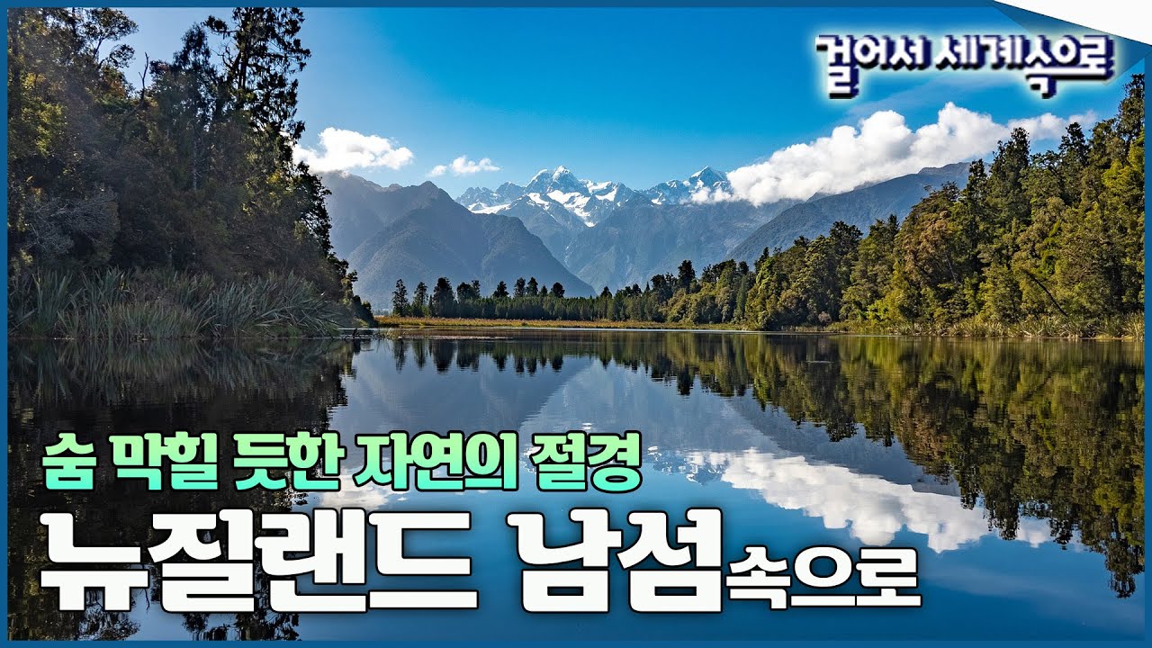 입이 딱 벌어지는 자연의 절경! 투명하고 푸른 빙하를 걷고 돌고래와 수영하는 곳🐬, '뉴질랜드 남섬1⃣' 여행 Trip to New Zealand (KBS_20140208)