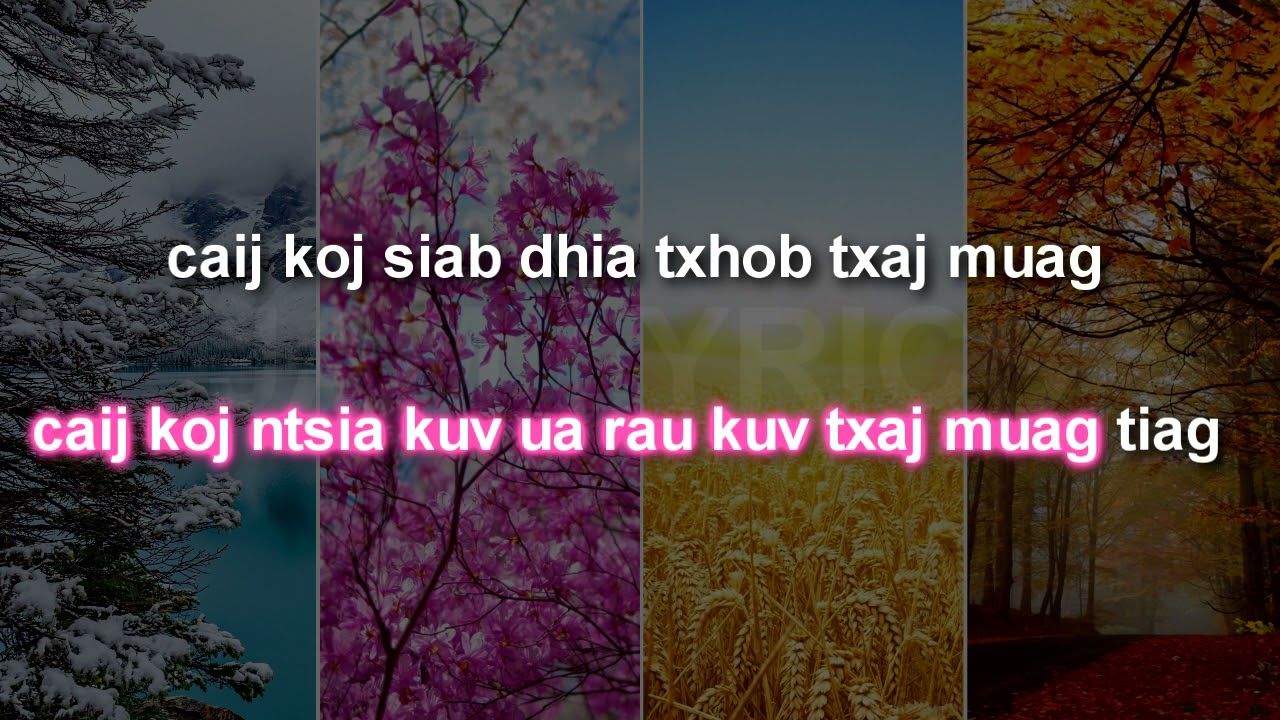 (Hmong Song) CAIJ (KARAOKE) (SING-A-LONG)