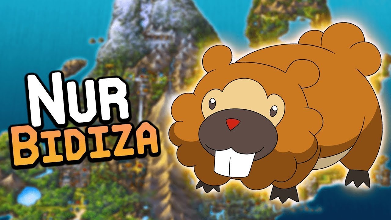 Kann man Pokémon Diamant / Perl mit NUR einem BIDIZA durchspielen? (+ KEINE Items in Kämpfen)