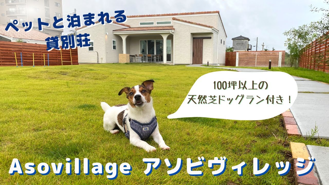 【貸別荘に泊まってみた】100坪の天然芝ドッグラン付き！愛犬と泊まれるAsovillageアソビレッジ/ペット可ホテル/千葉県九十九里【ジャックラッセルテリアのマシュー君】