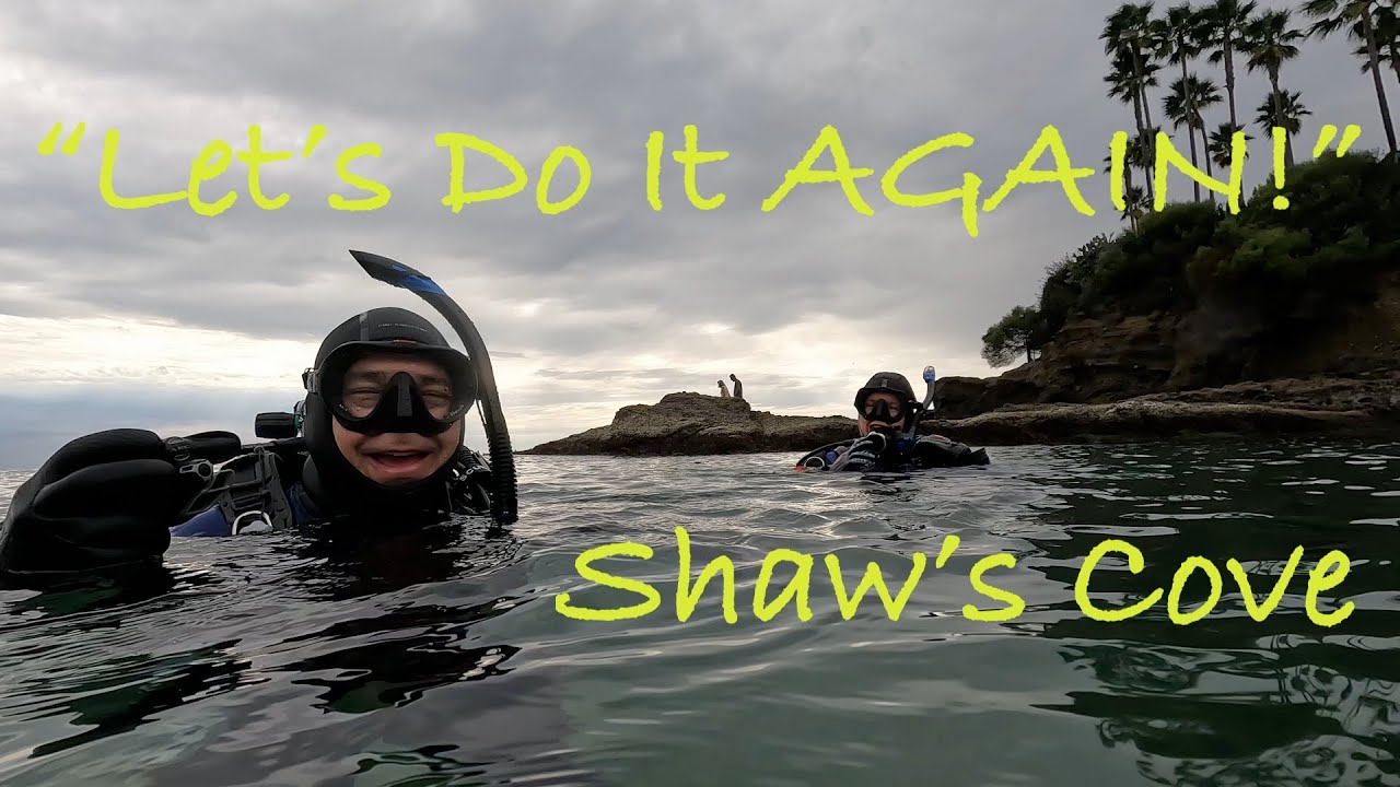 December Dive at Shaw's Cove
