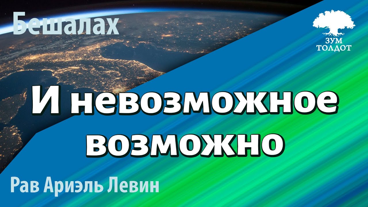 Zoom-уроки Толдот.ру