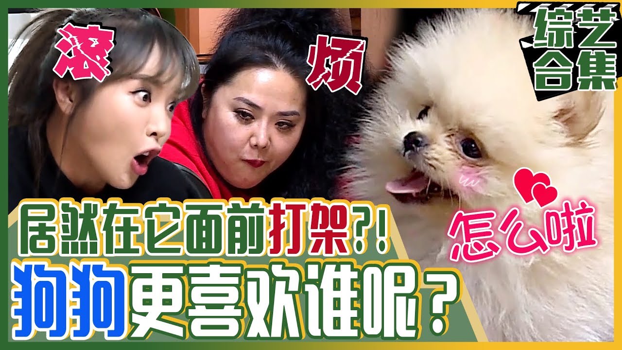 [中文字幕] 洪姐妹家里的新成员“灰尘”来了！洪真英&洪善英的狗狗育儿大作战！ㅣ我家的熊孩子
