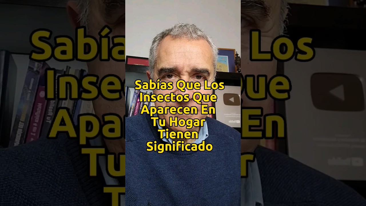Sab&iacute;as Que Los Insectos Que Aparecen En Tu Hogar Tienen Significado