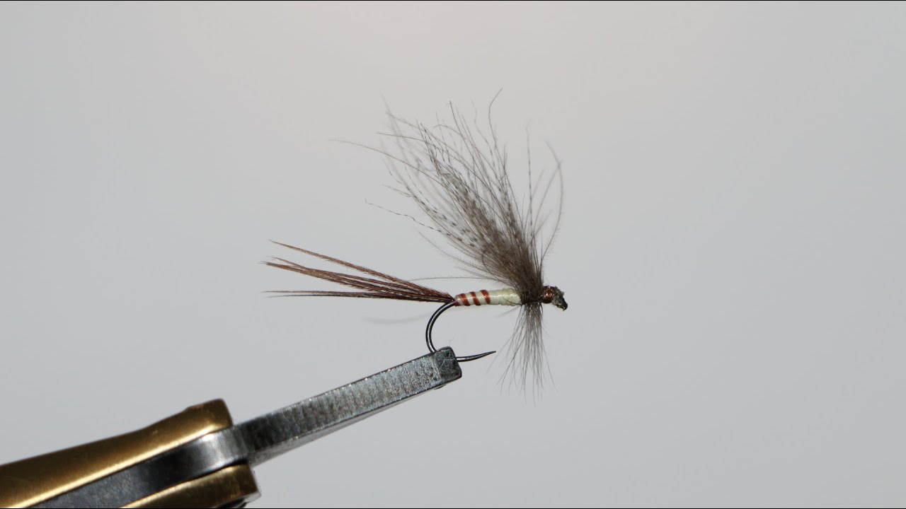 Montage d'une mouche de mai au stade imago