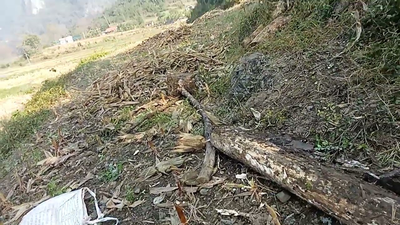 Chào phi nọng âu phừn ngoép đứa hát mà ké te chứ nhằng ón mí chắc đứa kế mà nuổi thưa lay m