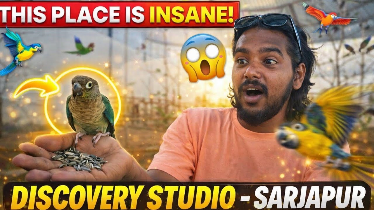 India&rsquo;s Craziest Gaming & Adventure Studio? Full Tour Inside!