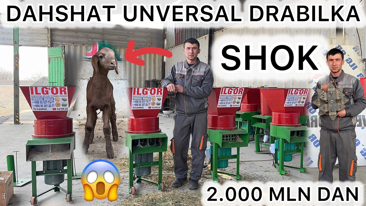 	SHOK! Universal Dirabilkalar Arzon Narxda 2.000 DAN 😱