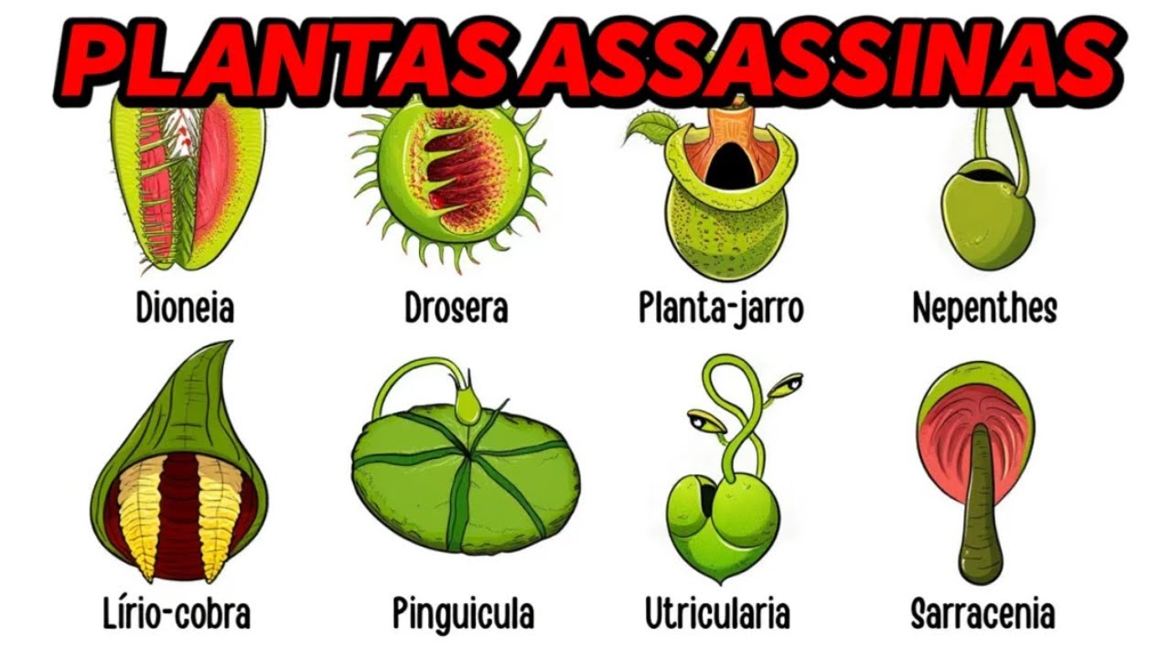 Conheça as Plantas Carnívoras Mais Perigosas do mundo Desvendadas em 10 Minutos
