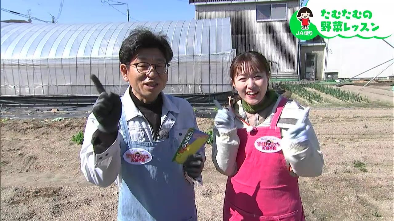 【トウモロコシはストレスをかけずに栽培するべし！】【第35回】｜【笑味ちゃん天気予報】たむたむの野菜レッスン 2026年3月13日放送