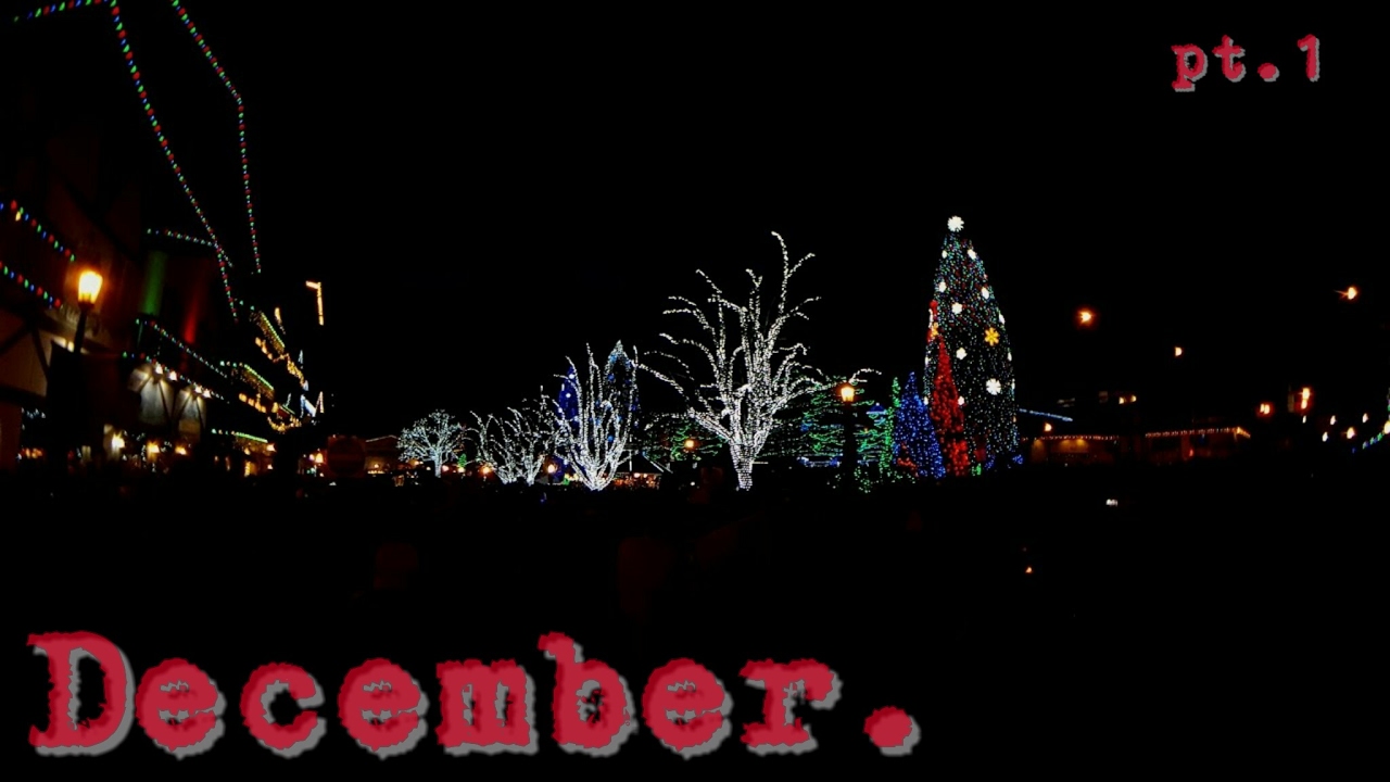 December pt.1/3 | EF exchange year USA