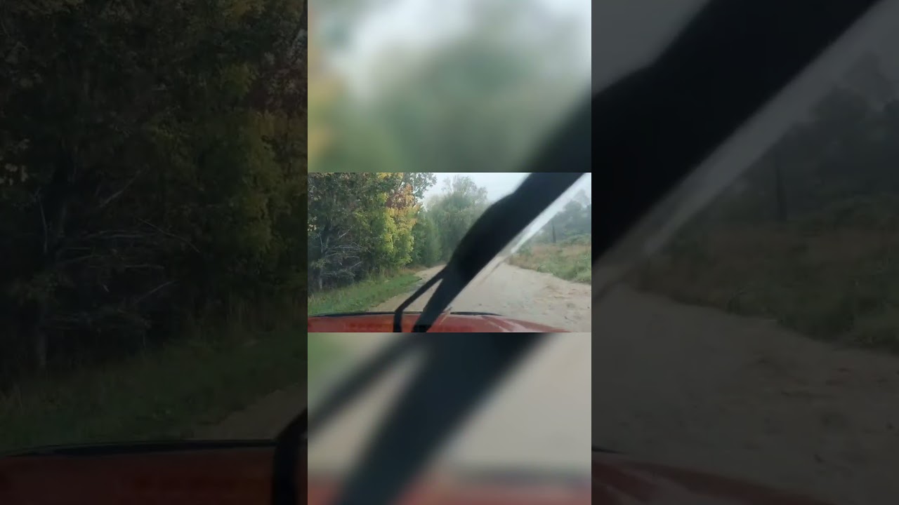 Video shows raging waters as South Island settlement floods | RNZ
