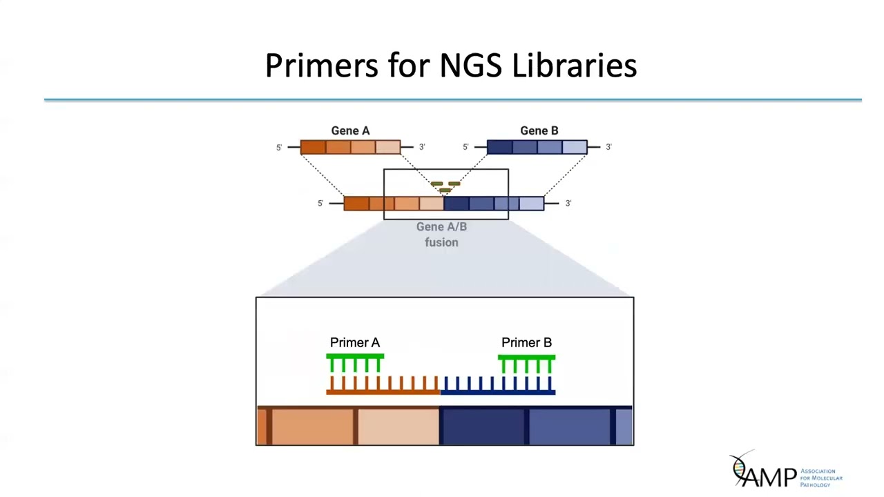 Fusion Detection by NGS using RNA