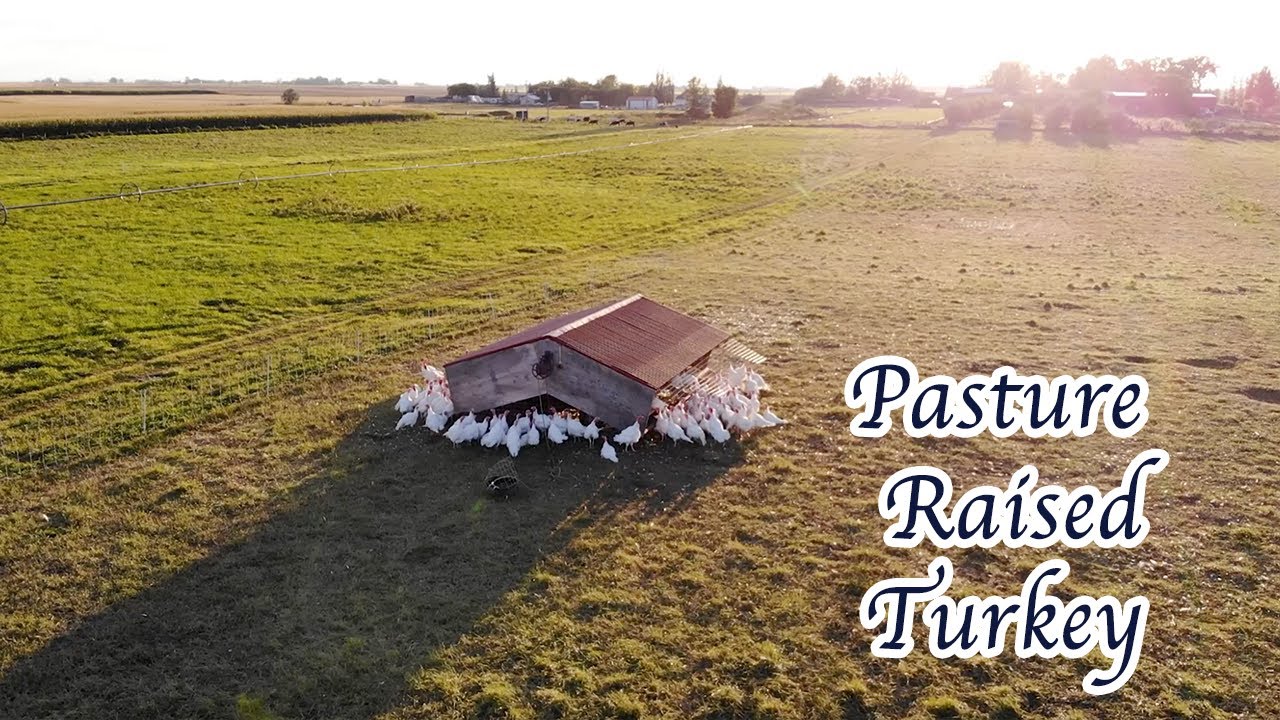 Harvest Haven Pasture Raised Turkey