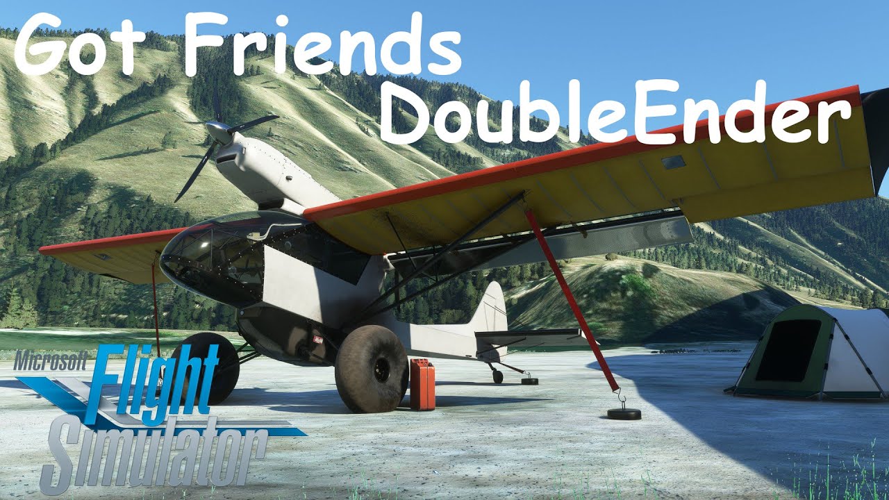 MSFS Got Friends Double Ender Review