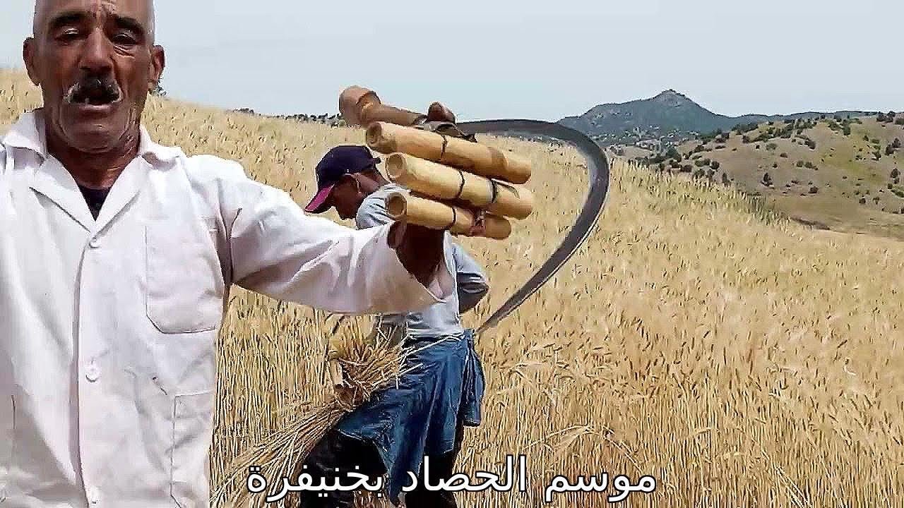 بسم الله: بداية موسم الحصاد...سويفي مسلسل جميع الصيف.خيرات مولانا.