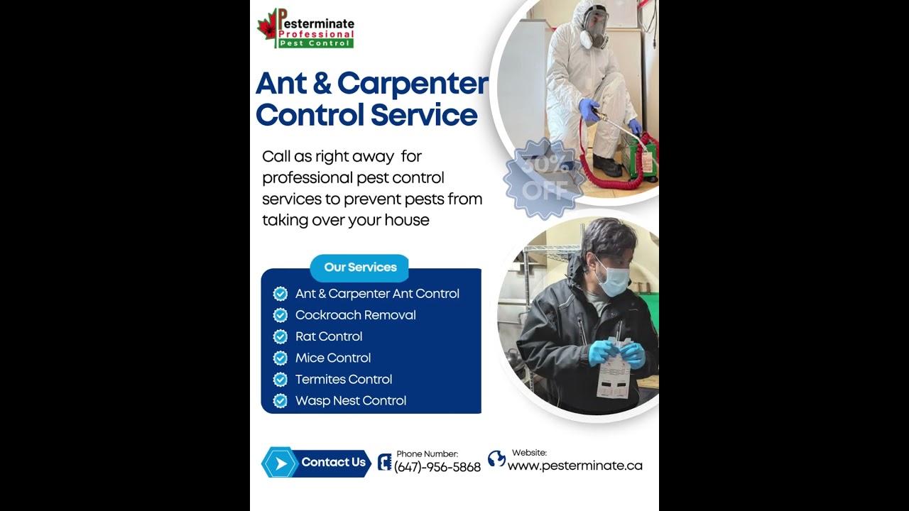Ant & Carpenter Ant Control &ndash; 30% OFF!