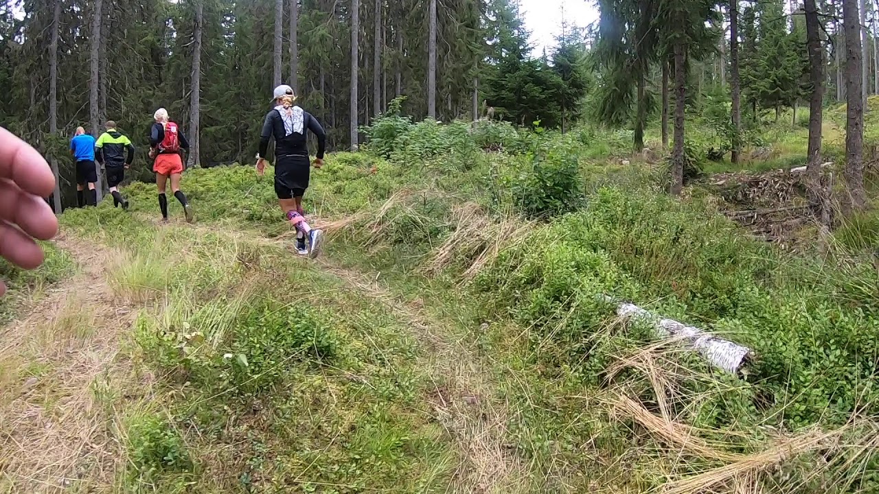 Ultravasan 2019 90km | Kort version