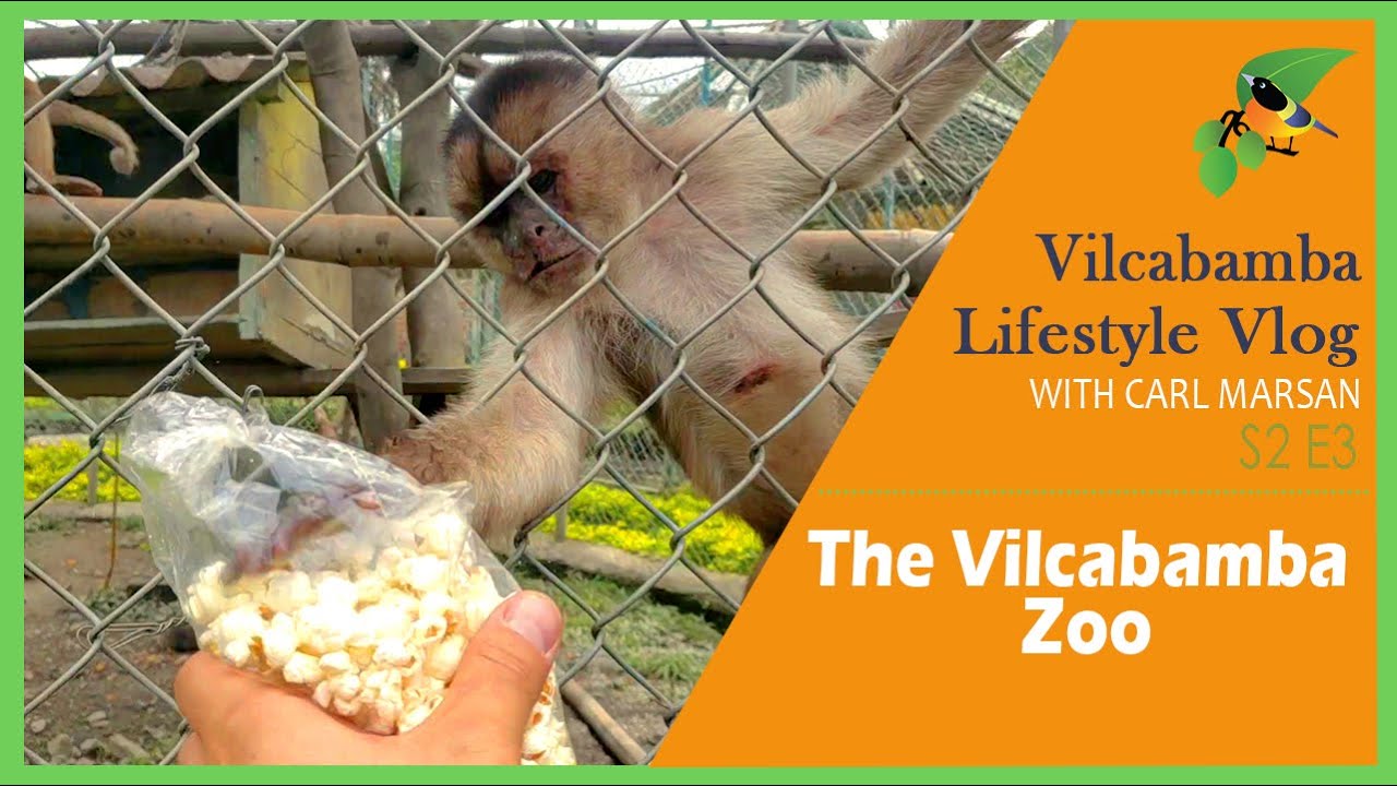 Vilcabamba Lifestyle Vlog with Carl Marsan S2 E3  | The Vilcabamba Zoo