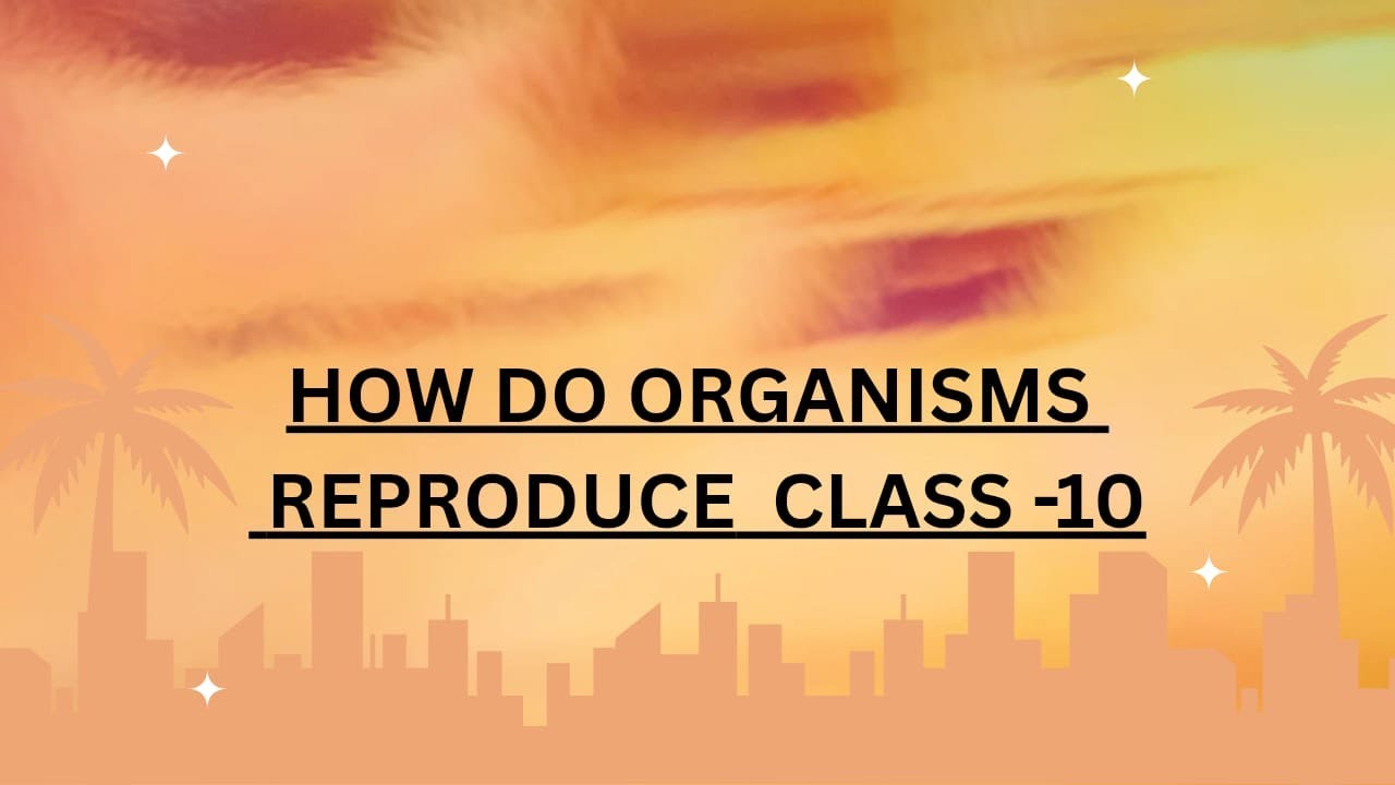 How Do Organisms Reproduce I Class 10 I