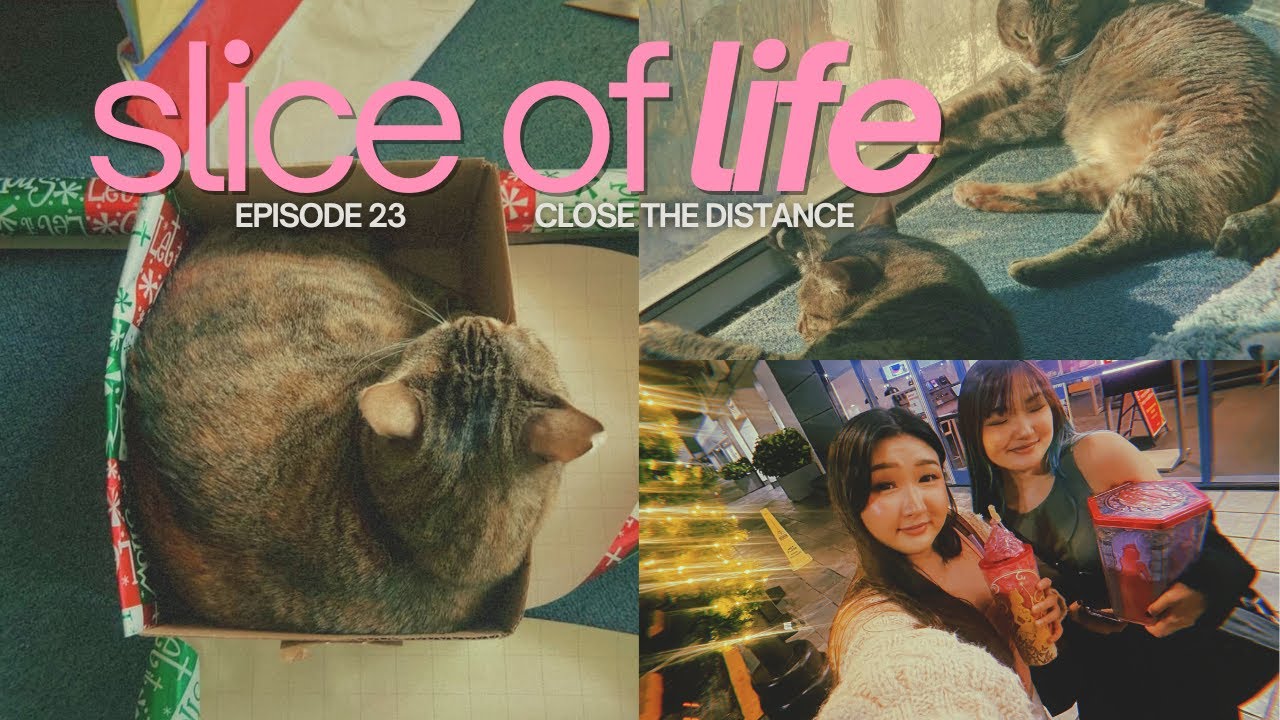 Slice of Life • Ep 23 | november recap (where we’ve been)