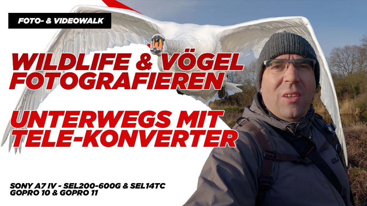 Wildlife - Fotowalk mit Telekonverter - Mehr Brennweite für Vögel - SEL200-600G - SEL14TC - A7 IV