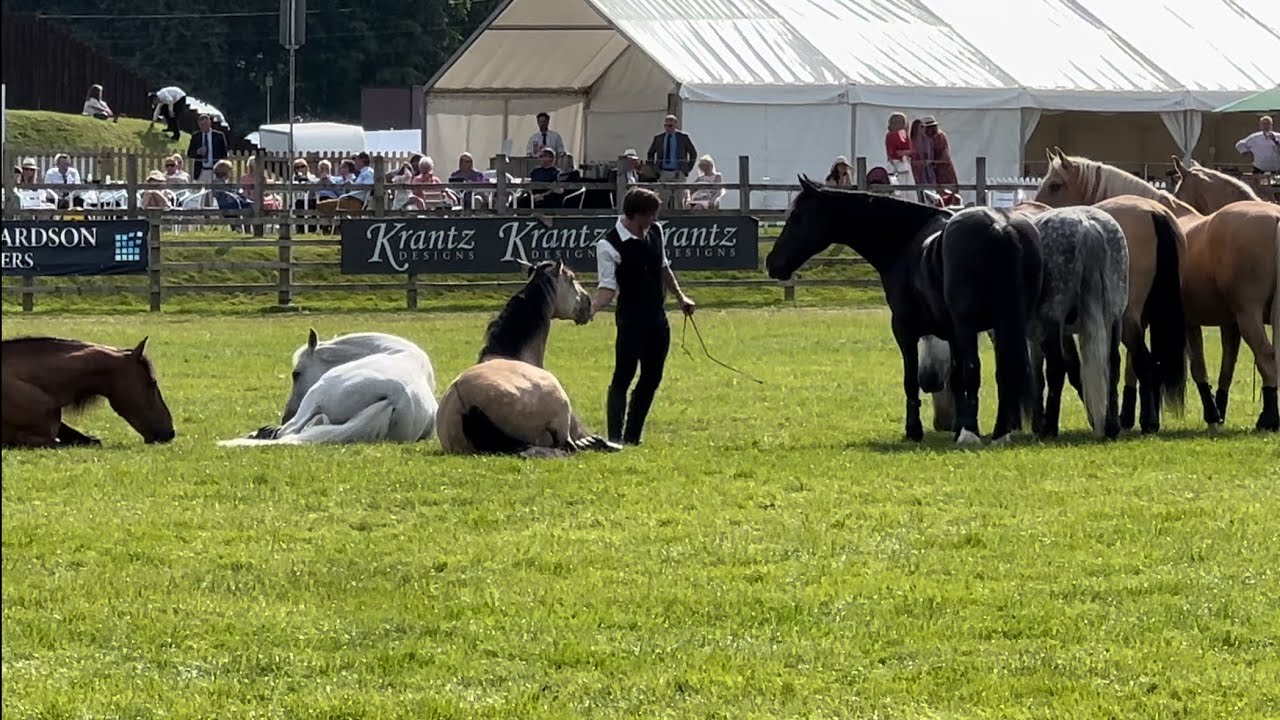 Lincolnshire Show 2024 Shetland pony grand national, 1 man talks to 8 horses & much more