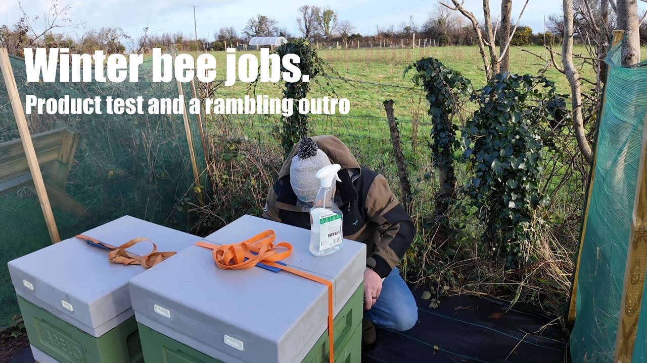 Winter bee jobs done 