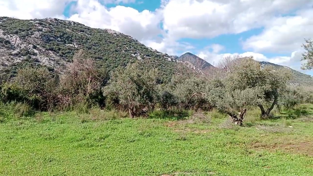 Kırkgözhan mevki Döşemealtı Antalya 