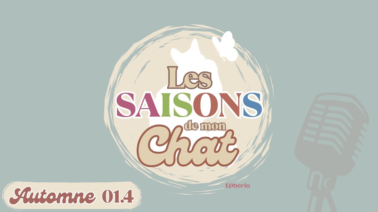 Automne 01.4 🍂 Comment améliorer le confort de vie de son chat vieillissant ?