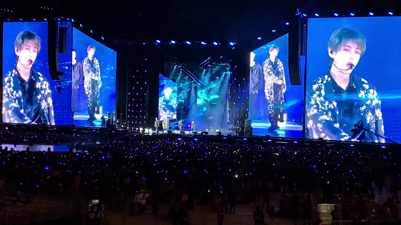SINGULARITY V BTS AT CITIFIELD FANCAM