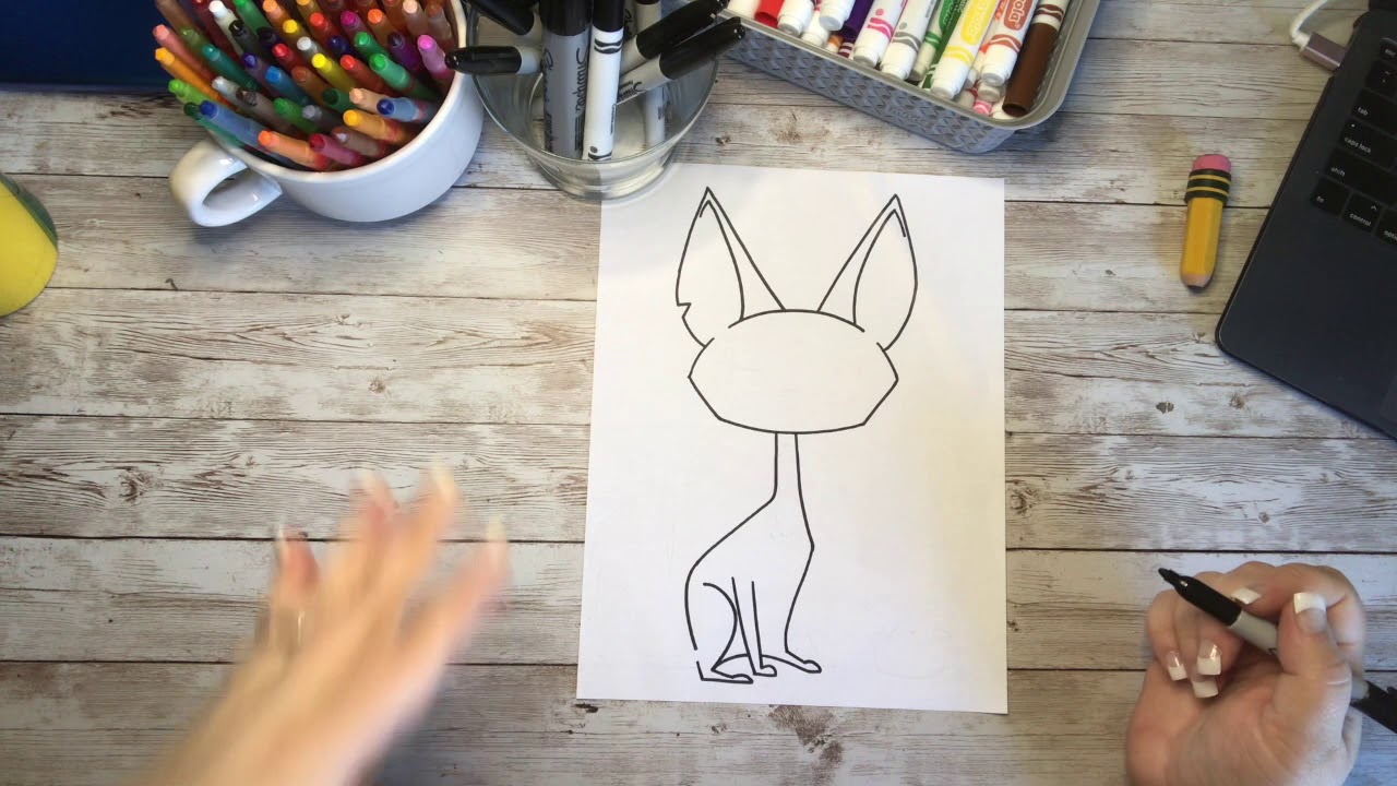 Sphynx Cat