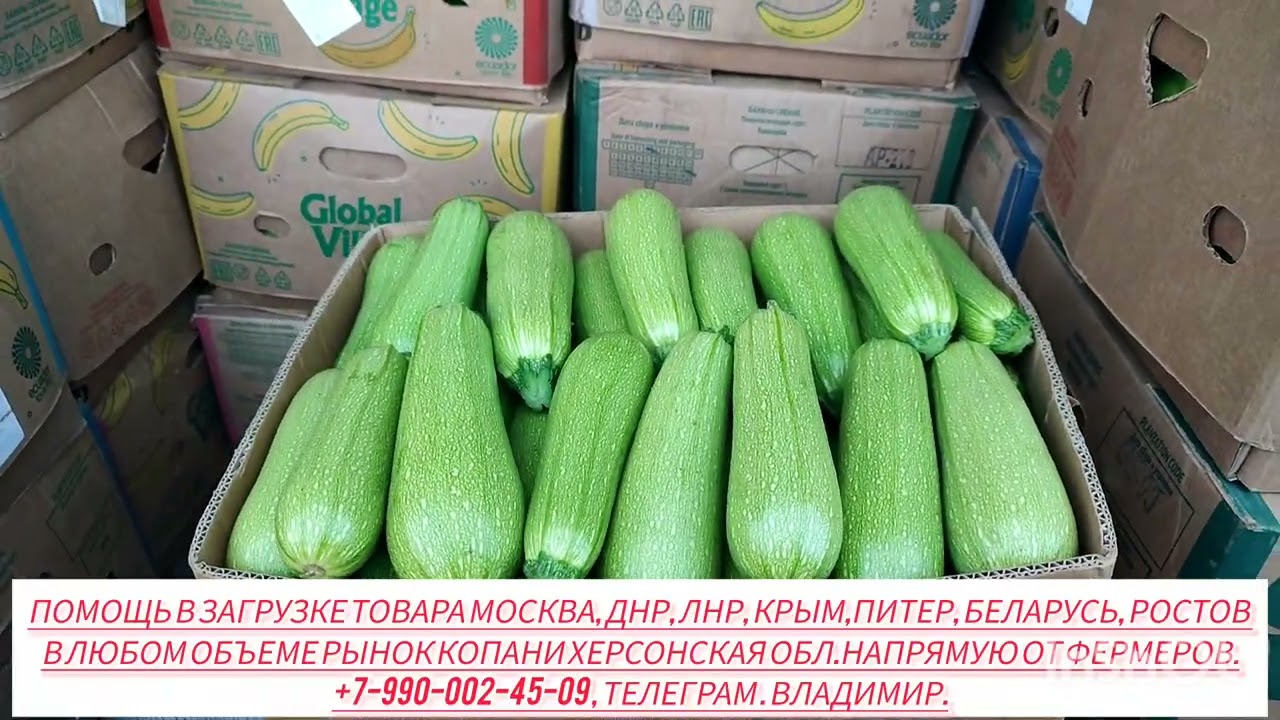 03-10-2025 г Цены сегодня рынок Копани Херсонская область.