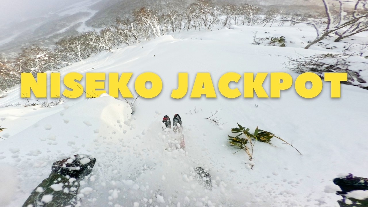 Bottomless Powder Straight Off Niseko's Lifts🔥