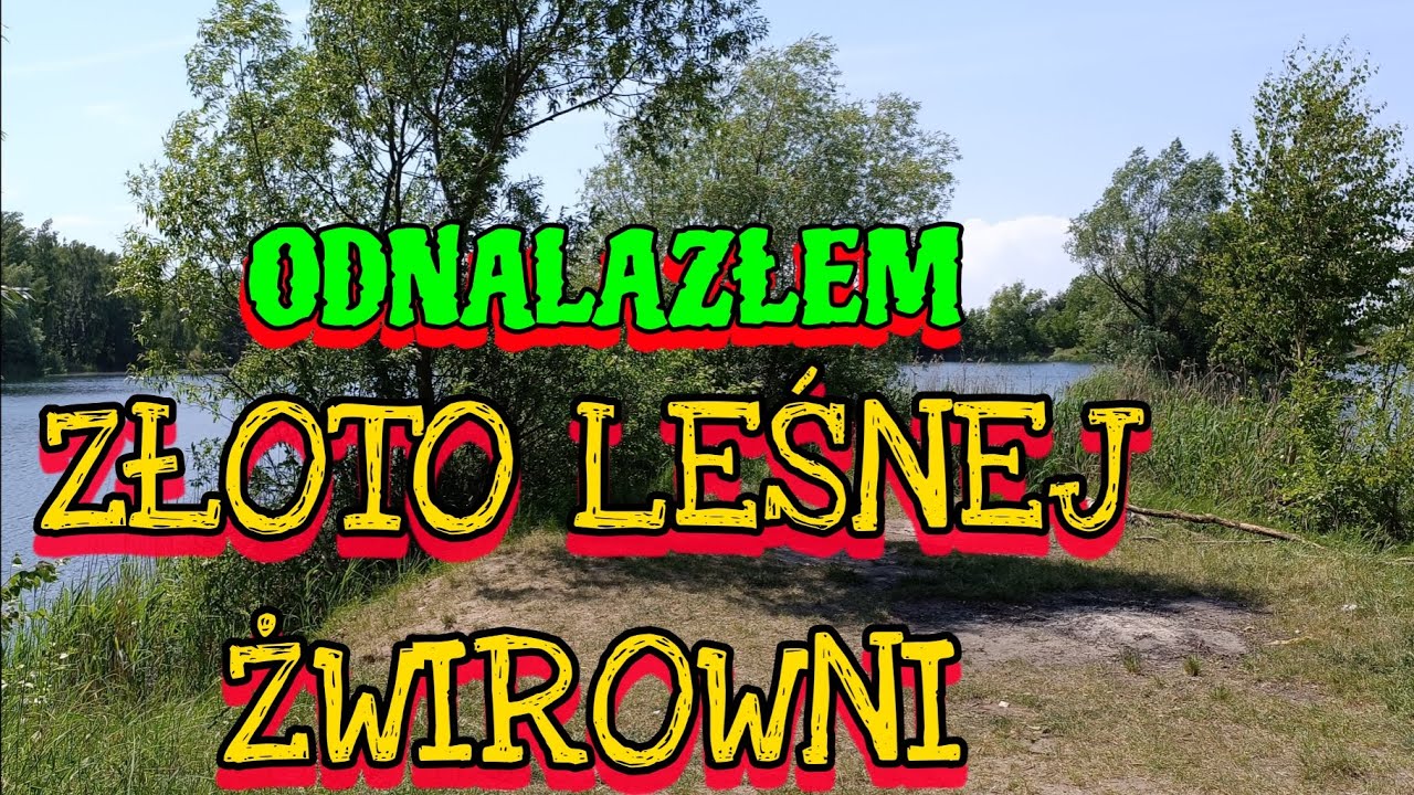 ZNALAZŁEM  ZŁOTO NA DZIKIEJ LEŚNEJ ŻWIROWNI. PIĘKNE ZŁOTE RYBY !!!
