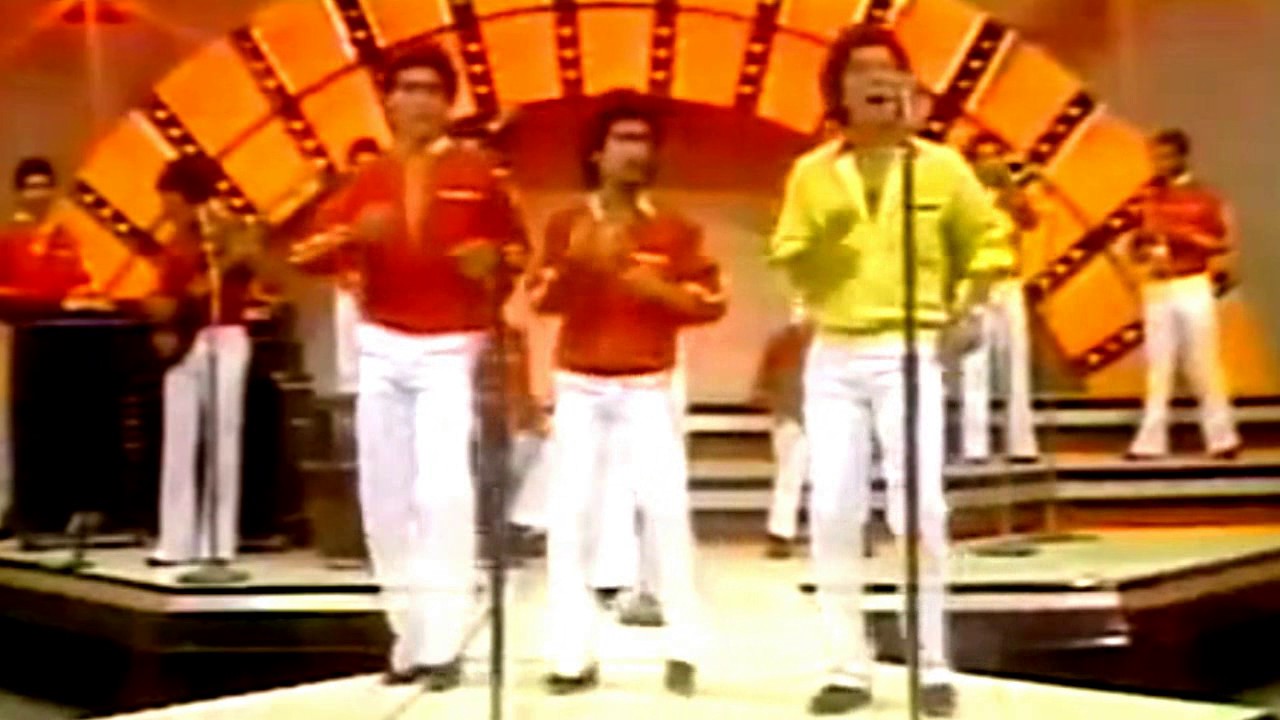 Musiquito - El Tulipan