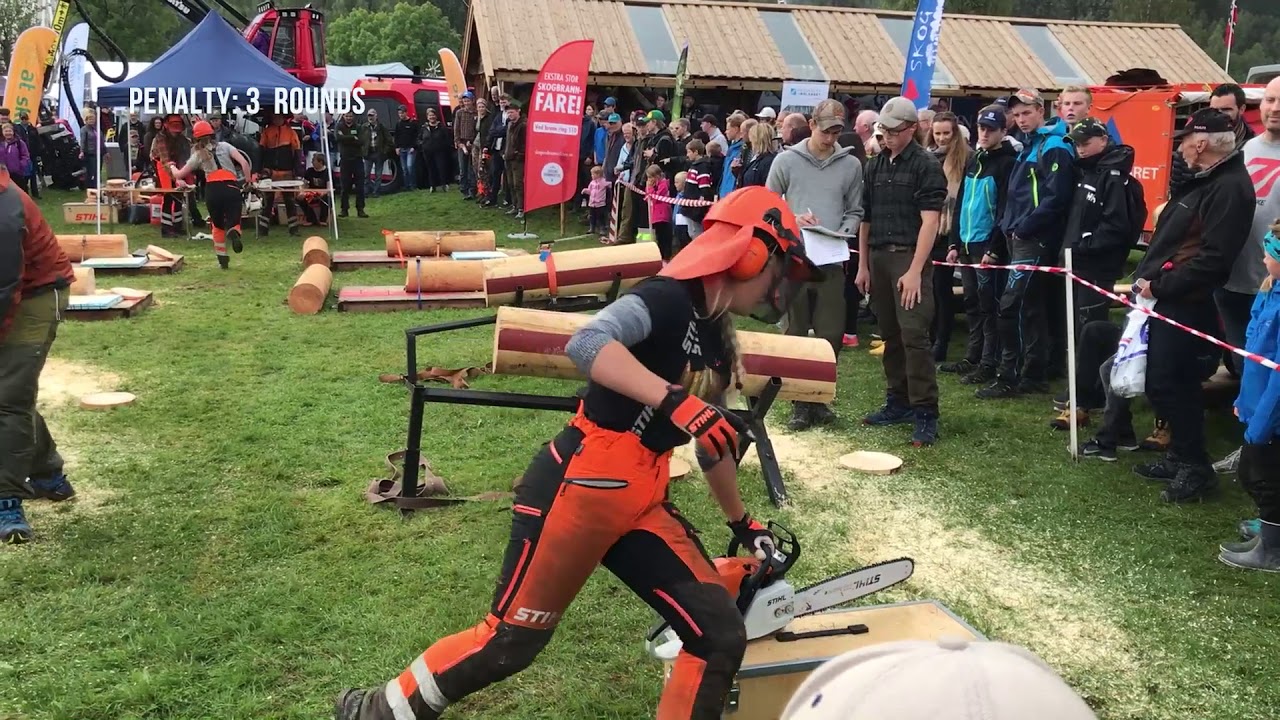 Motorsagkonkurranse/Chainsaw competition - Dyrsku'n 2017